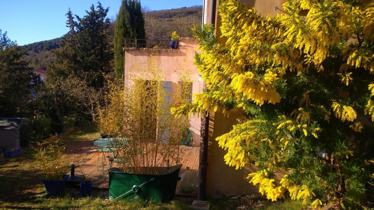 Le Chemin De Lauzieres Ξενοδοχείο Octon Εξωτερικό φωτογραφία